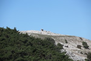 Il Castelliere di S.Bartolomeo