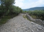 cropped-img_4957.jpg