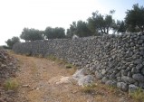 cropped-img_8376.jpg