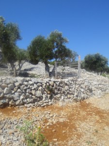 Lessa (Cancello di ginepro)