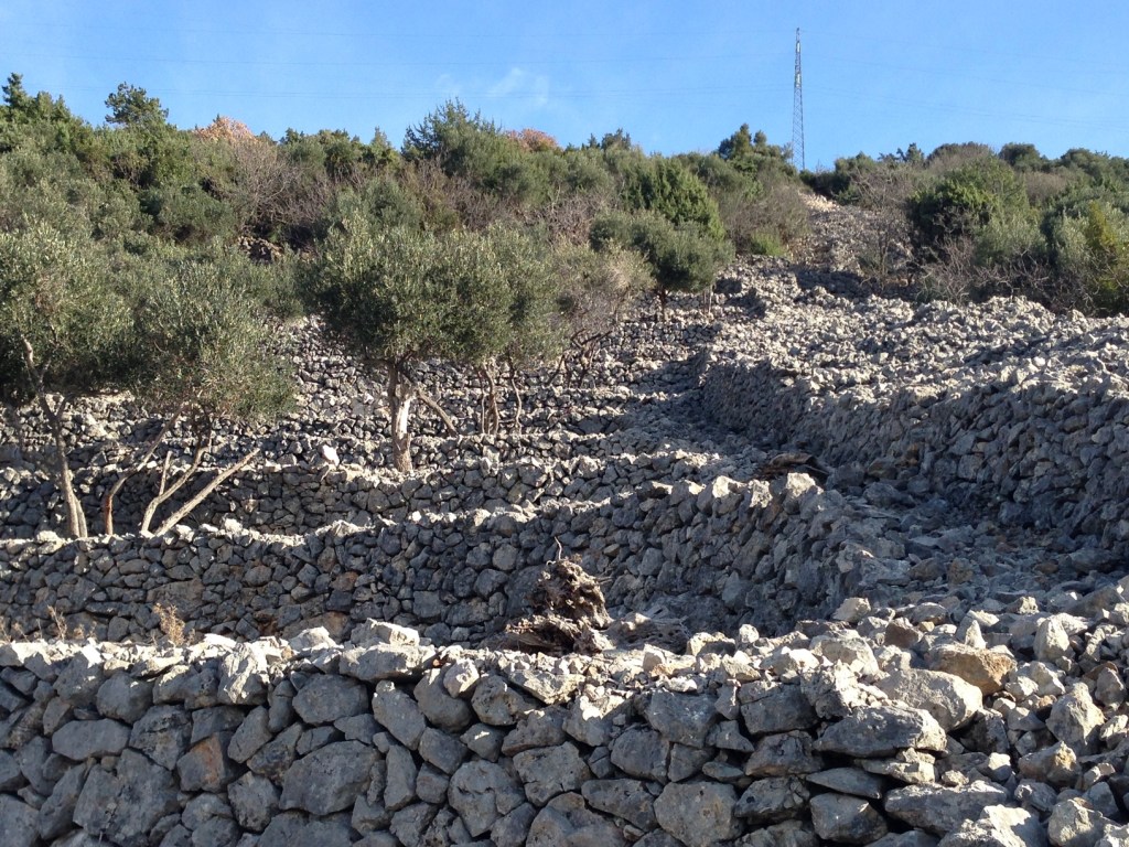 Den nuvarande bilden har ingen alternativ text. Filnamnet är: img_1514.jpg